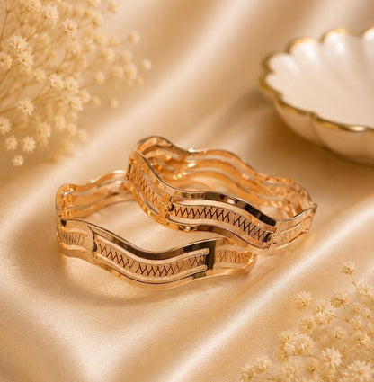 Aurielle Gold Plated 2 Piece Bangle Set for Women